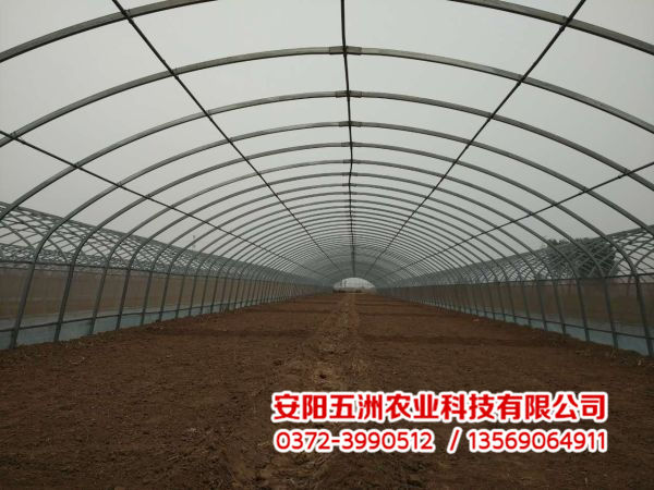 春秋鋼管大棚 春秋鋼管大棚